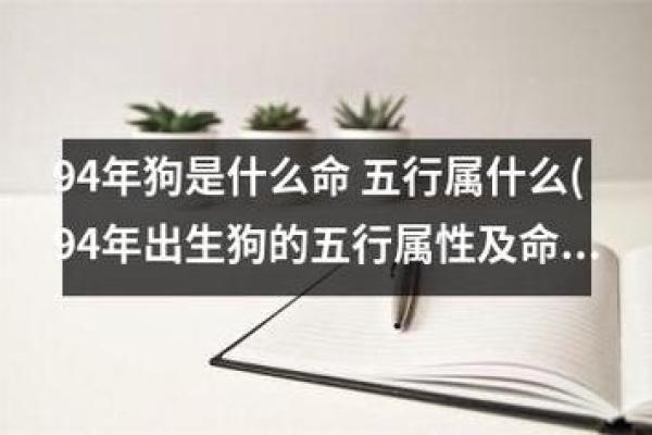 94年1月份出生属鸡还是属狗 94年1月份出生属什么