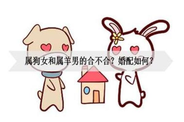 属狗和属羊的合得来吗_属狗和属羊的合得来吗 属狗和属羊的相克是真的吗 属狗和属羊的合得来吗_属狗和属羊的合得来吗 属狗和属羊的相克是真的吗