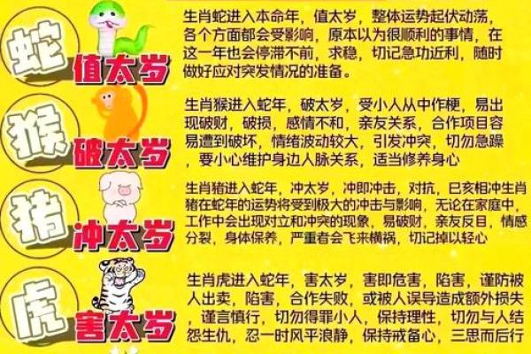 1991属羊2025年运势与财运详解