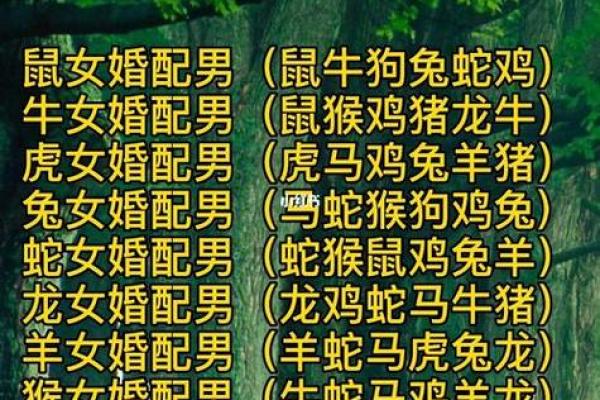 属虎和属羊的婚配好不好_属虎和属羊的婚配好不好生肖配对解析