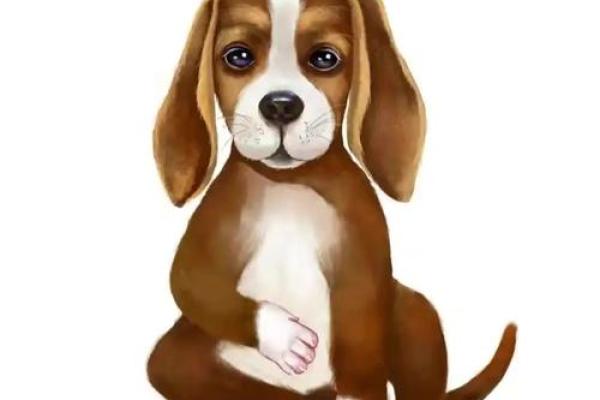 2025年属狗每月运势详解全年运程大揭秘 2025年属狗每月运势详解全年运程大揭秘