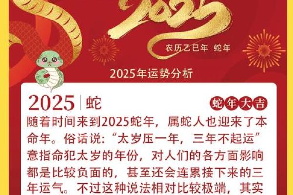 2025蛇年属猪运势 2025蛇年属猪运势解析财运事业感情全攻略