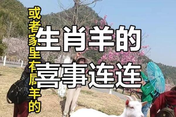 七九年属羊2025年运势解析财运事业感情全揭秘 七九年属羊2025年运势解析财运事业感情全揭秘