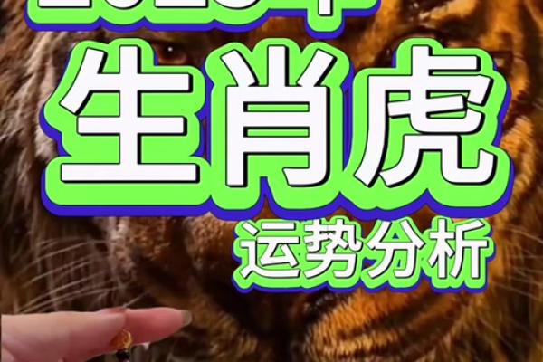 2025年1982年属狗男运势 1982年属狗2025年运势及运程 2025年1982年属狗男运势 1982年属狗2025年运势及运程