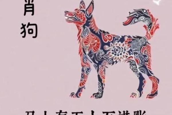 2025年狗人运势运程1982年的狗 2025年狗人运势解析1982年属狗人运程全揭秘 2025年狗人运势运程1982年的狗 2025年狗人运势解析1982年属狗人运程全揭秘