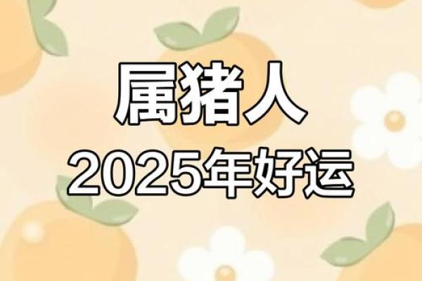95年属猪人2025年全年运势及运程_95年属猪人2025年运势详解全年运程大揭秘