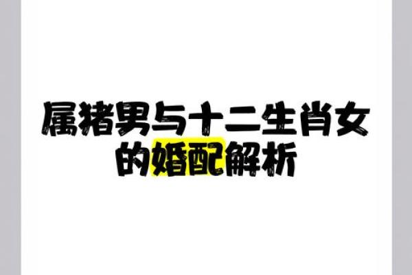 属猪男和属虎女婚姻配对解析适合做夫妻吗 属猪男和属虎女婚姻配对解析适合做夫妻吗