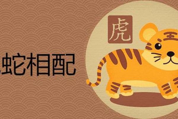 属猪男和属虎女婚姻配对解析适合做夫妻吗 属猪男和属虎女婚姻配对解析适合做夫妻吗