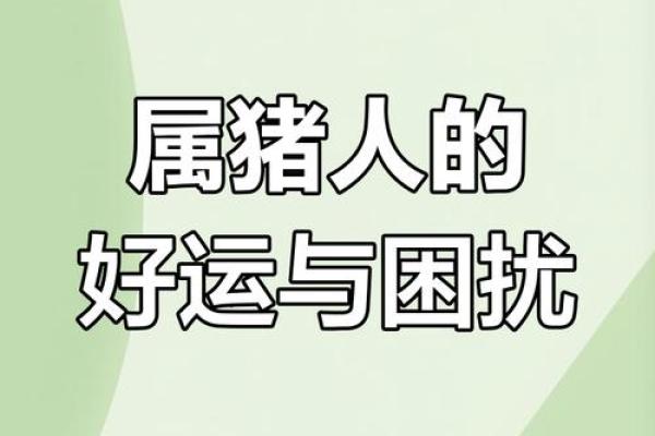 1971年属猪男在2025年运势_1971年猪男在2022年运势 1971年属猪男在2025年运势_1971年猪男在2022年运势