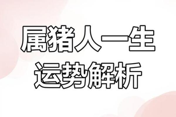 1971年属猪的今日运势_1971年属猪今日运势解析财运事业感情全揭秘 1971年属猪的今日运势_1971年属猪今日运势解析财运事业感情全揭秘