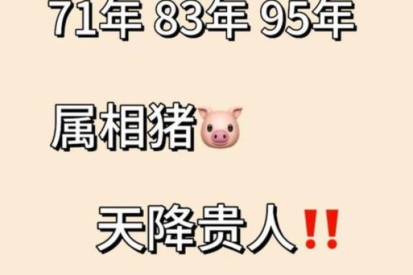2025年属猪的人今年多大年龄计算与运势解析 2025年属猪的人今年多大年龄计算与运势解析