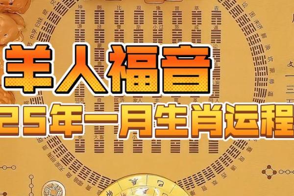 2025年2003属羊人的全年运势 2025年属羊的全年运势如何 2025年2003属羊人的全年运势 2025年属羊的全年运势如何