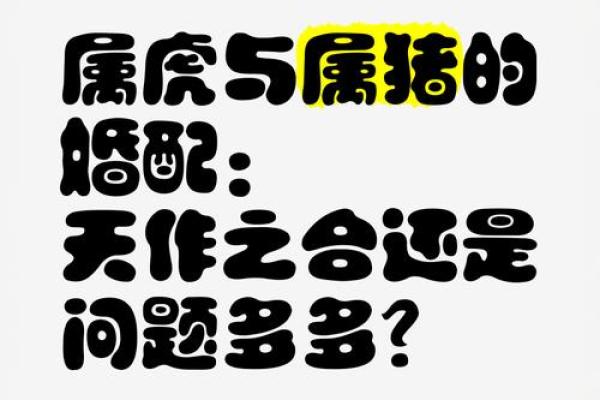 属猪和属虎的姻缘解析配对指数与婚姻运势 属猪和属虎的姻缘解析配对指数与婚姻运势