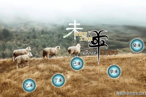 79年羊在2025年的全年运势 2025年79年属羊人全年运势解析吉凶预测与运势指南