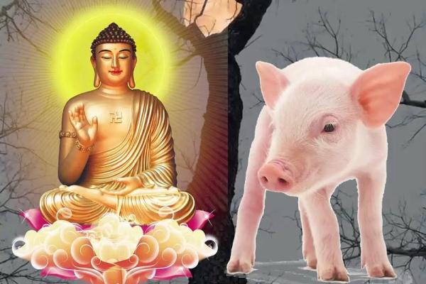 1983年属猪的婚姻和命运_1983年属猪人婚姻与命运解析幸福密码大揭秘