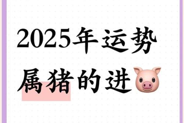 属猪多少岁2025 属猪多少岁了哪年出生的 属猪多少岁2025 属猪多少岁了哪年出生的