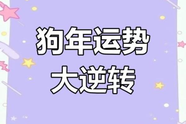 2025年属狗人高考运势_2023年属狗的高考运势 2025年属狗人高考运势_2023年属狗的高考运势