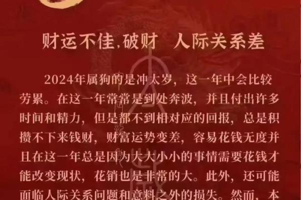 2006年属狗的在2025年运势_2006年属狗的在2025年运势怎么样