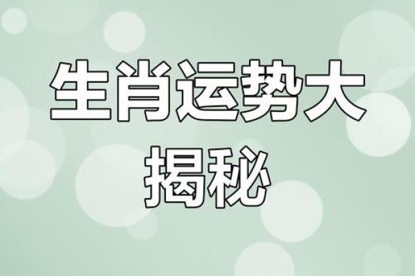属狗女今日麻将运势解析财运亨通还是手气不佳