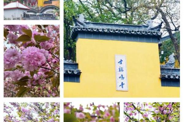 鸡鸣寺求姻缘准的可怕 鸡鸣寺求姻缘准得惊人揭秘灵验背后的秘密 鸡鸣寺求姻缘准的可怕 鸡鸣寺求姻缘准得惊人揭秘灵验背后的秘密