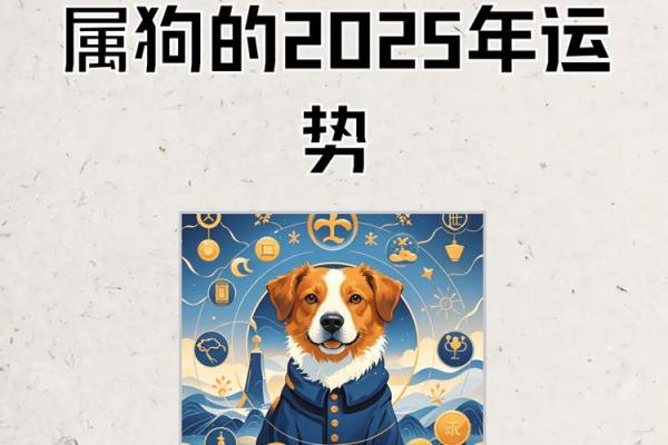 1970年属狗人2024年运势及运程_1982年2025年属狗人的全年运势 1970年属狗人2024年运势及运程_1982年2025年属狗人的全年运势