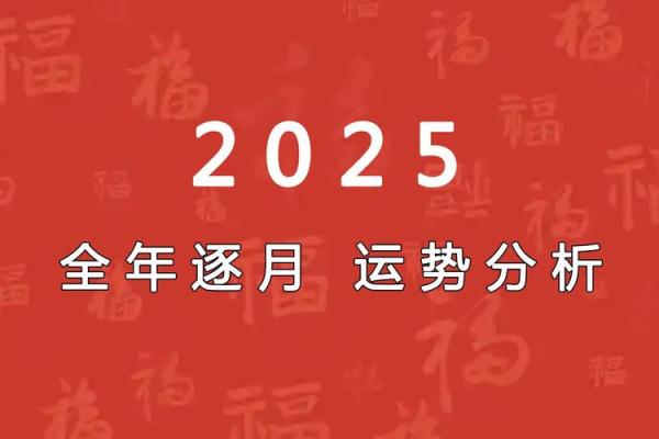 2025龙年命运揭秘各月出生运势全解析
