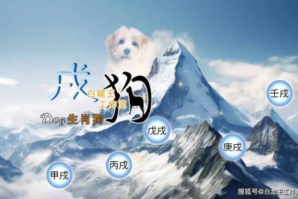 2006年属狗男孩的命运_2006年属狗男孩命运解析未来运势与性格特点 2006年属狗男孩的命运_2006年属狗男孩命运解析未来运势与性格特点