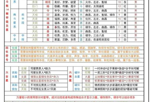飞星紫微斗数原旨（斗数观测录）