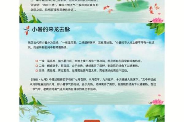 小暑，暑期的民俗禁忌你知道吗