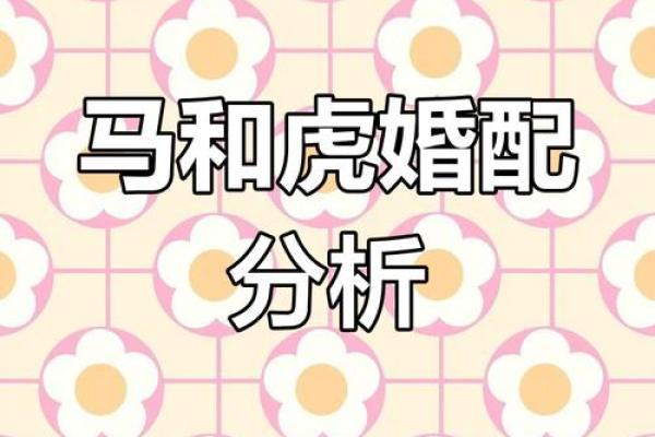 属龙男和属马女姻缘怎么样 属龙男和属马女配对好不好