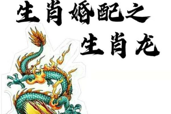 属龙男和属马女姻缘怎么样 属龙男和属马女配对好不好