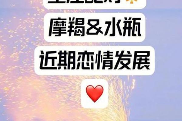 摩羯和水瓶是土象星座吗女生