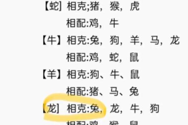 属兔的婚姻配对最佳