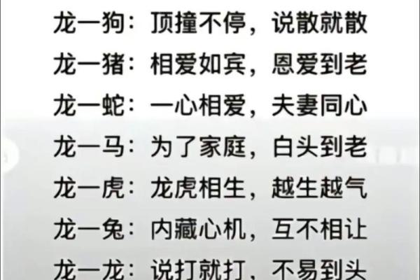1997年属什么生肖配对
