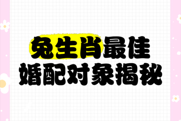 属兔男和什么属相最配对