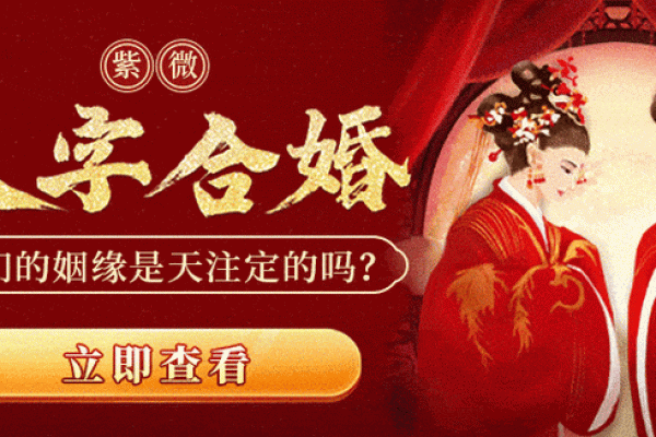 傅和戚姓名配对 傅戚小说？