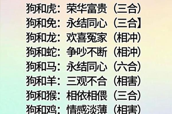 94年属什么的生肖是什么命 94年属什么的生肖配对