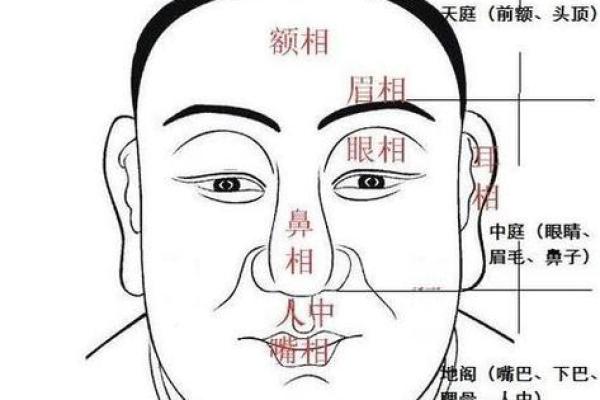 面相风水鼻头大的男人好不好是长寿命吗