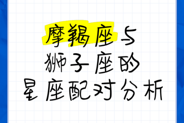 摩羯座女生适合什么星座男生_十二星座
