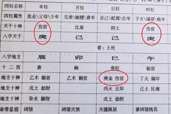 八字伤官月支