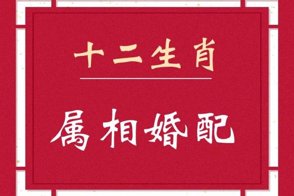 婚姻属相配对