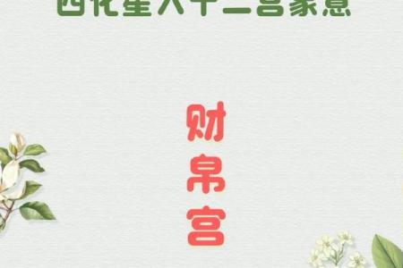 紫薇斗数搬家