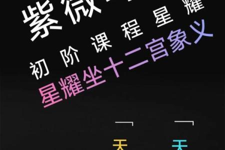 紫薇斗数偶身