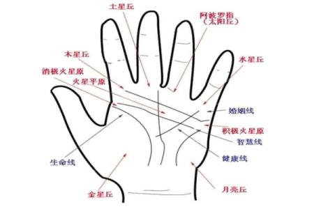 男人手相算命图解揭密男人命运
