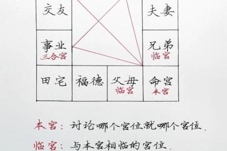 紫薇斗数每个格子什么内容