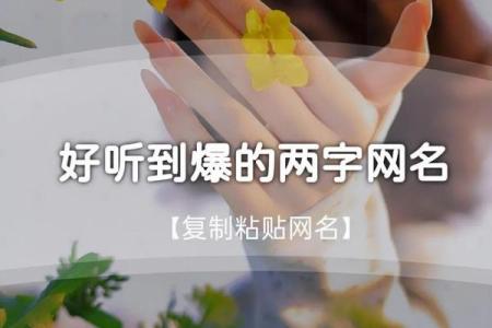 qq名字大全女孩唯美孤独