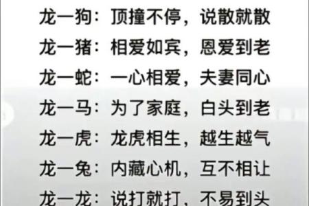1997年属什么生肖配对
