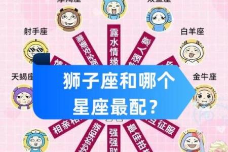 狮子座是什么象星座
