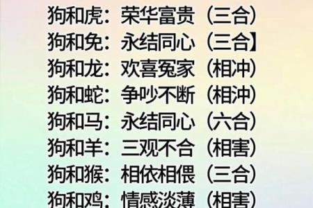 94年属什么的生肖是什么命 94年属什么的生肖配对