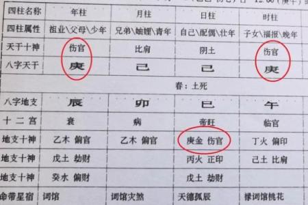 八字伤官月支